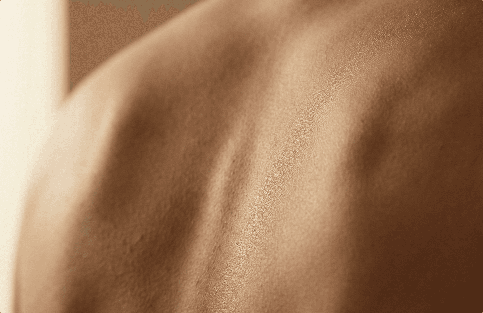 Юридическая информация